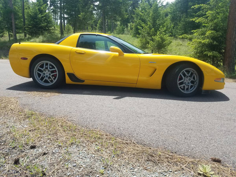Illustration for article titled Found on Montana Craigslist: Jordan and the Slow Runner Bait 2002 Z06